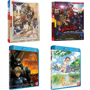 4-anime-pas-cher-pour-20-€.png