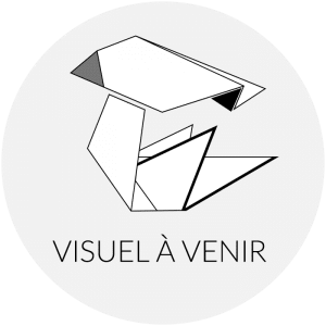 visuel à venir standard vierge v2