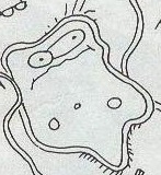 Tobiarro