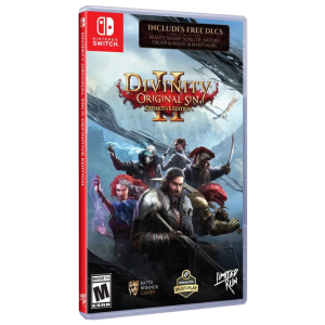 divinity 2 switch visuel produit