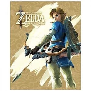 cadre zelda breath of the wild