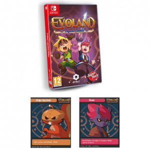 evoland switch pas cher avec cartes