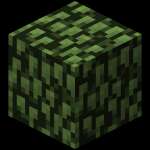 Bush_Man