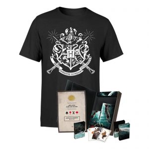 lot harry potter promo