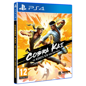 cobra kai ps4 visuel produit