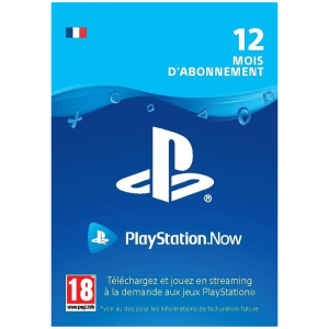 psn Now 12 mois visuel produit