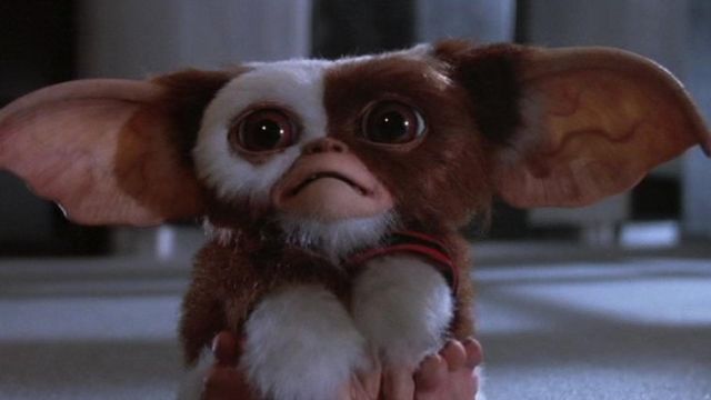mogwai