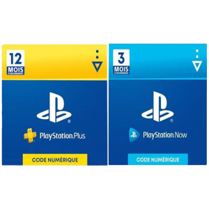promo 12 mois psn avec 3 mois de psn now cdiscount
