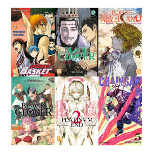 2 mangas kaze visuel produit