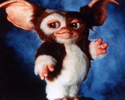 gizmo33
