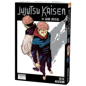 jujutsu kaisen guide visuel produit