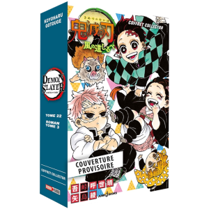 demon slayer collector 22 visuel produit