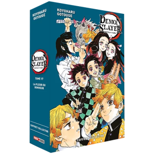 demon slayer tome 17 collector visuel produit