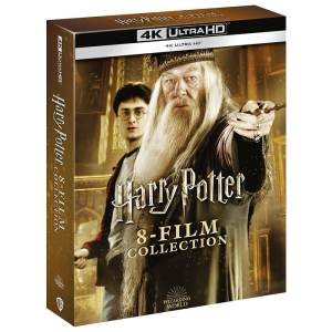 hp dumbledore art 4k visuel produit