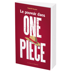 le pouvoir dans one piece visuel produit