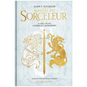 manuel du sorceleur visuel produit