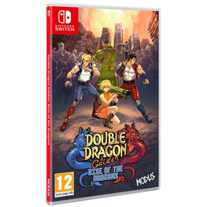 double dragon gaiden rise of the dragons switch visuel produit