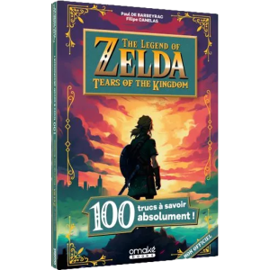 100 trucs à savoir sur the legend of zelda tears of the kingdom
