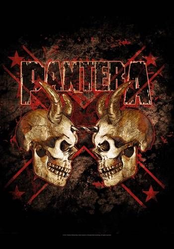 pantera2559
