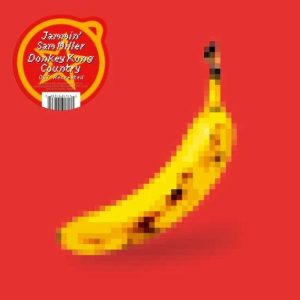vinyles donkey kong country 1 ost visuel produit