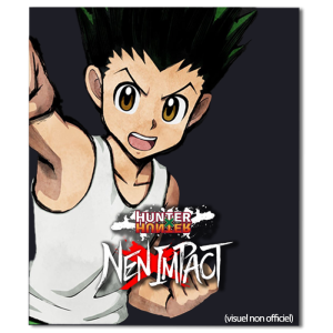 hunter x hunter nen impact pc visuel produit provisoire