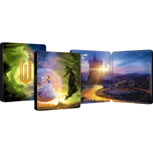 Wicked Partie 2 Blu Ray 4K Steelbook provisoire produit